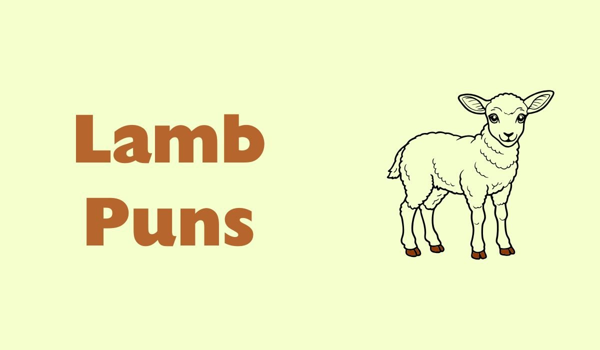 lamb puns and jokes
