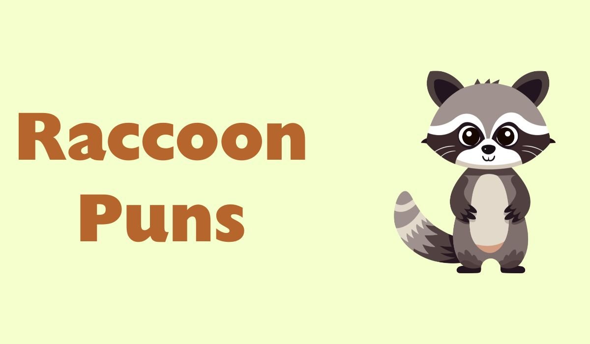 raccoon puns
