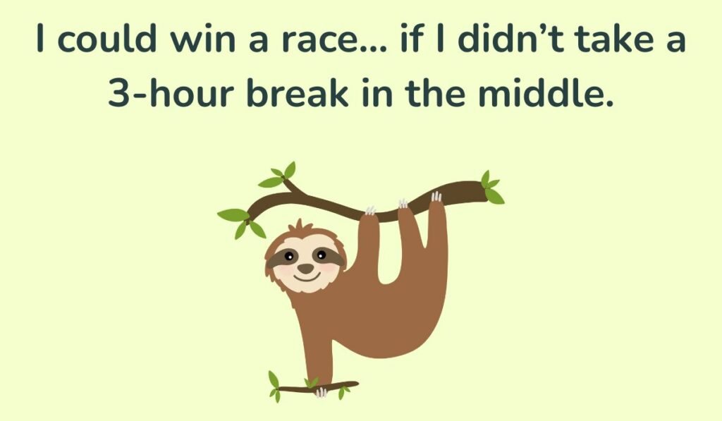 sloth puns