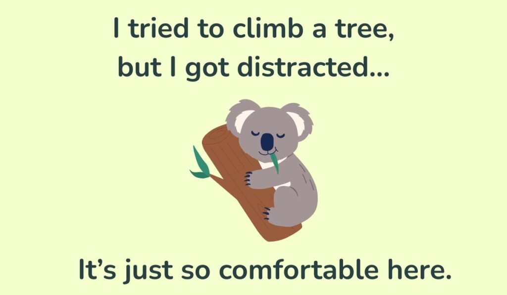 funny koala puns