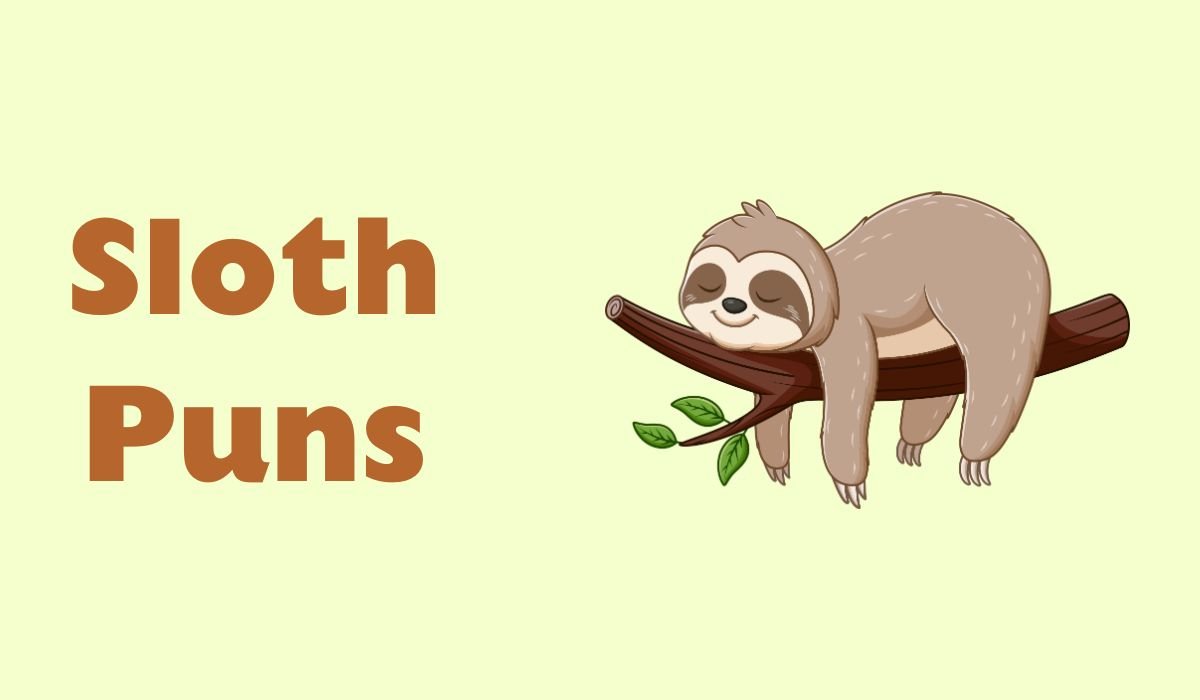 sloth puns