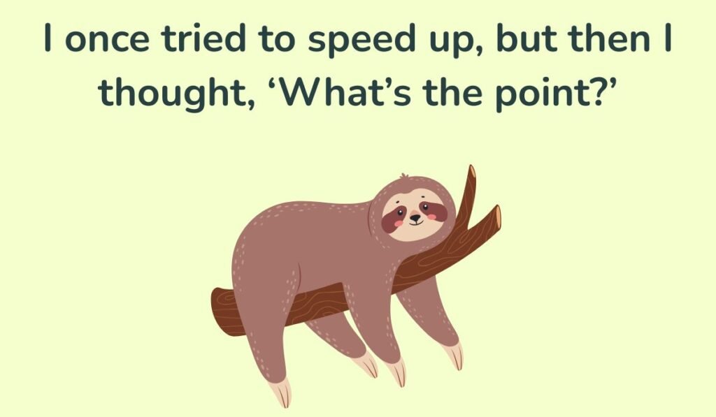 sloth puns