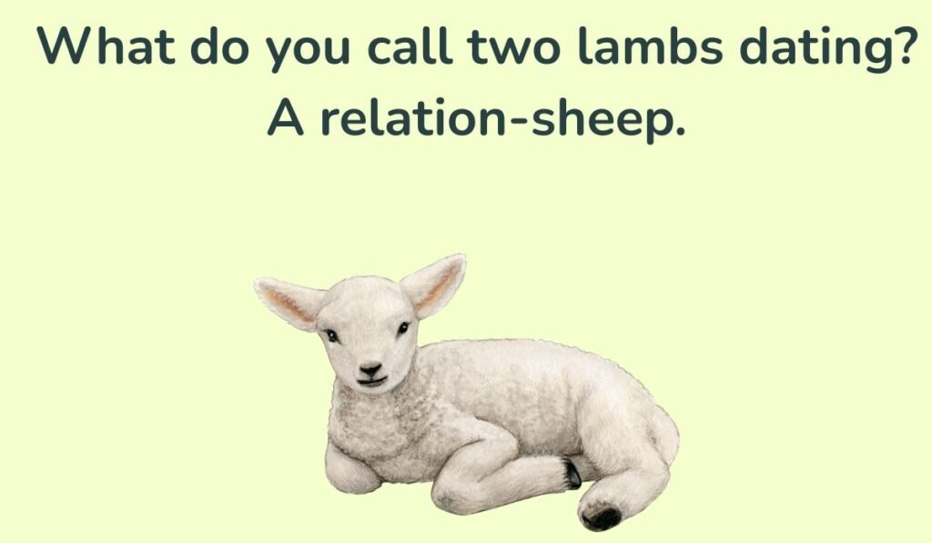 lamb puns and jokes