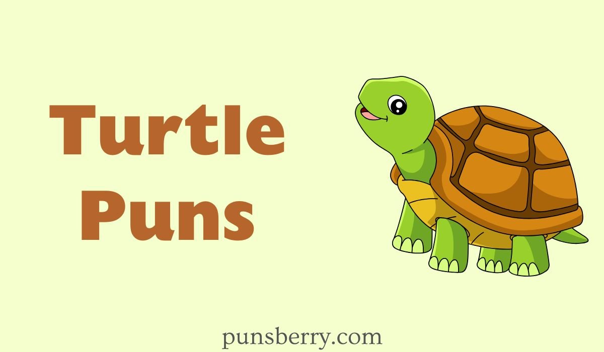 turtle puns