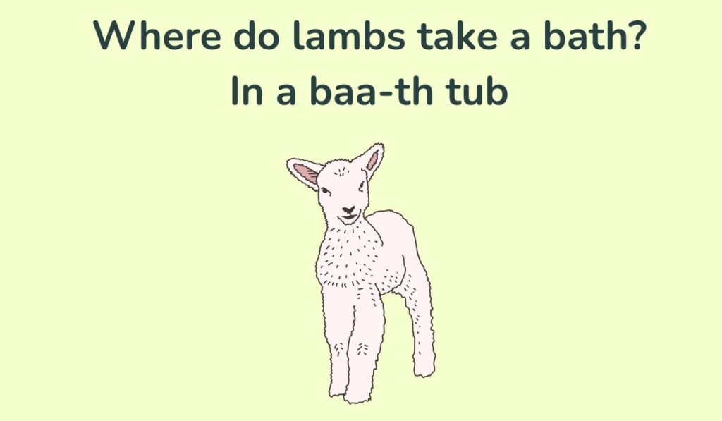 lamb puns and jokes