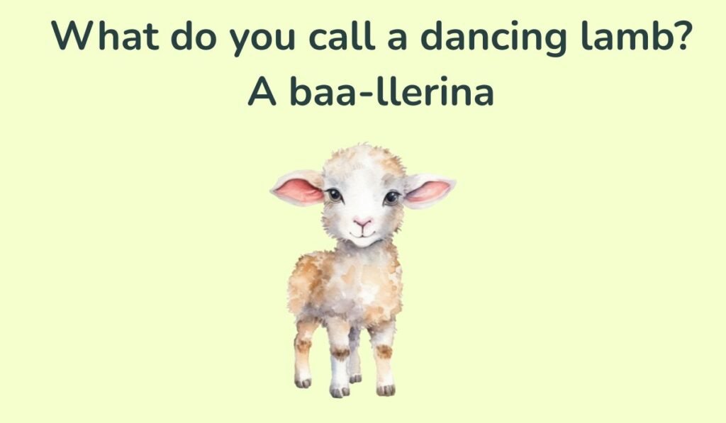 lamb puns and jokes