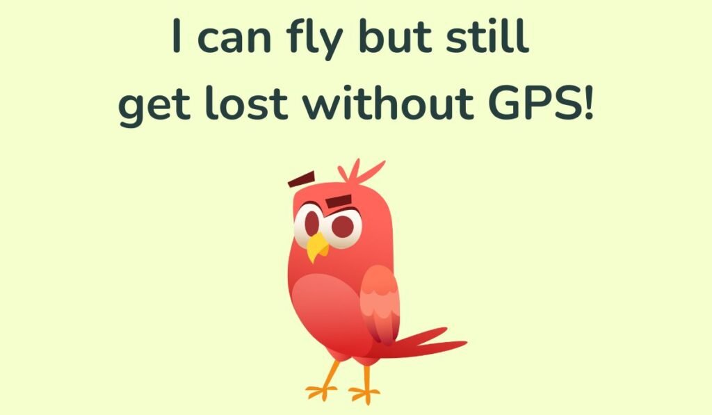 bird puns