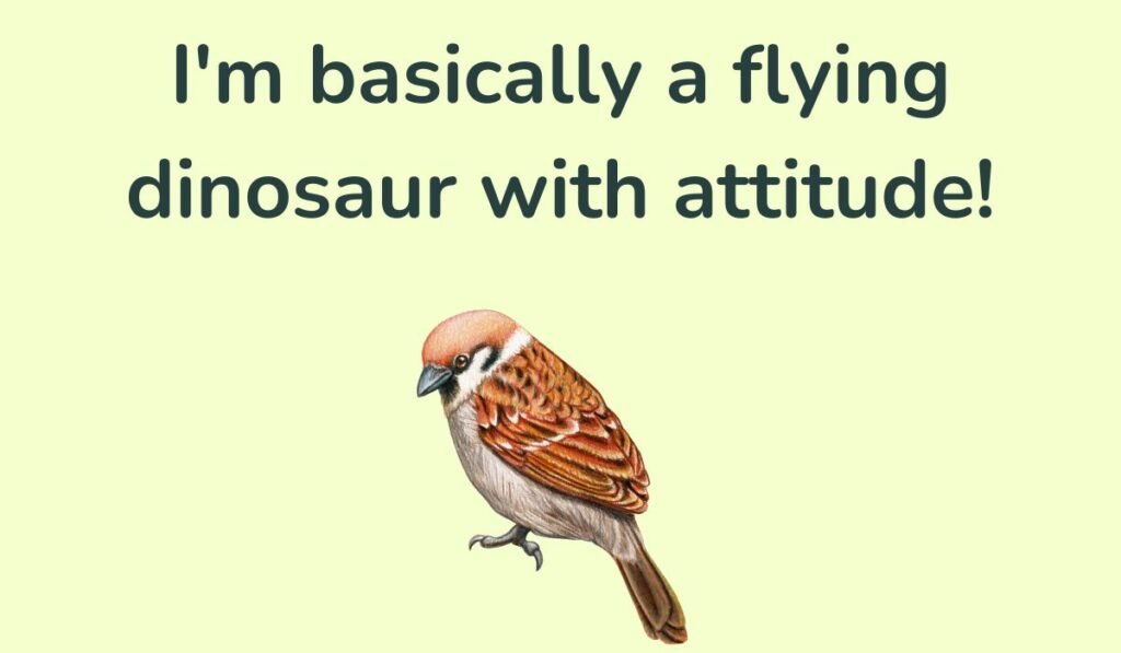 bird puns