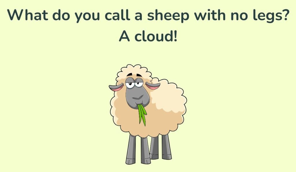 funny sheep puns