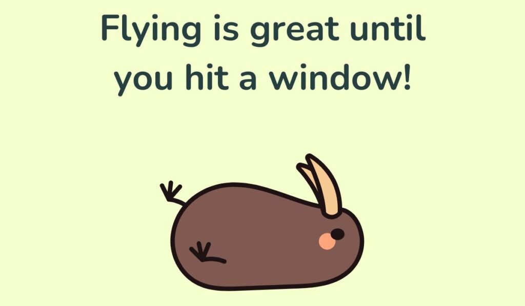 bird puns