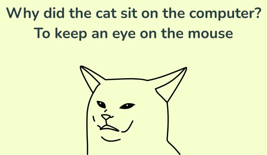 cat puns and jokes