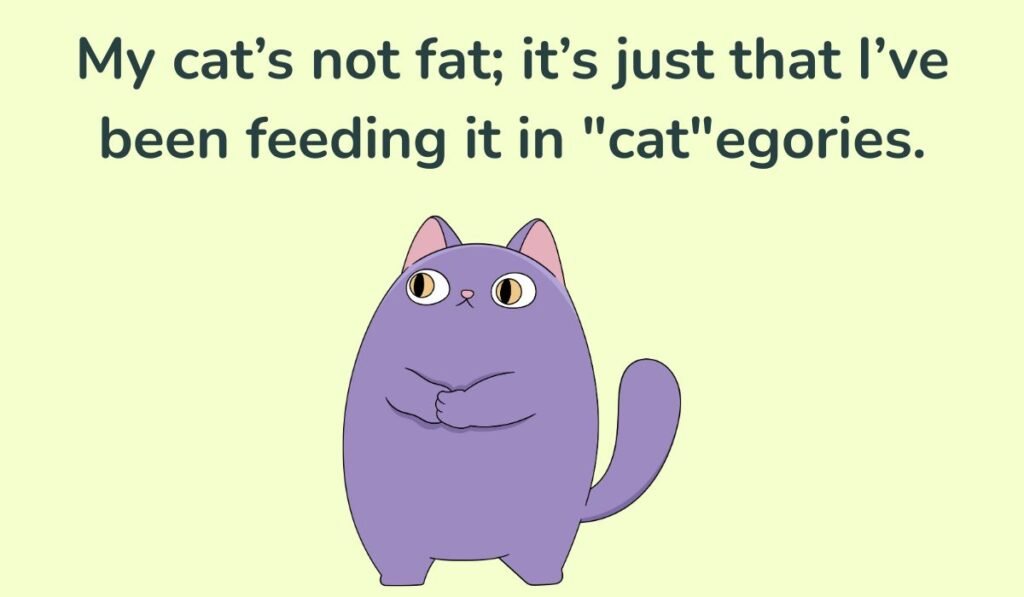 cat puns and jokes