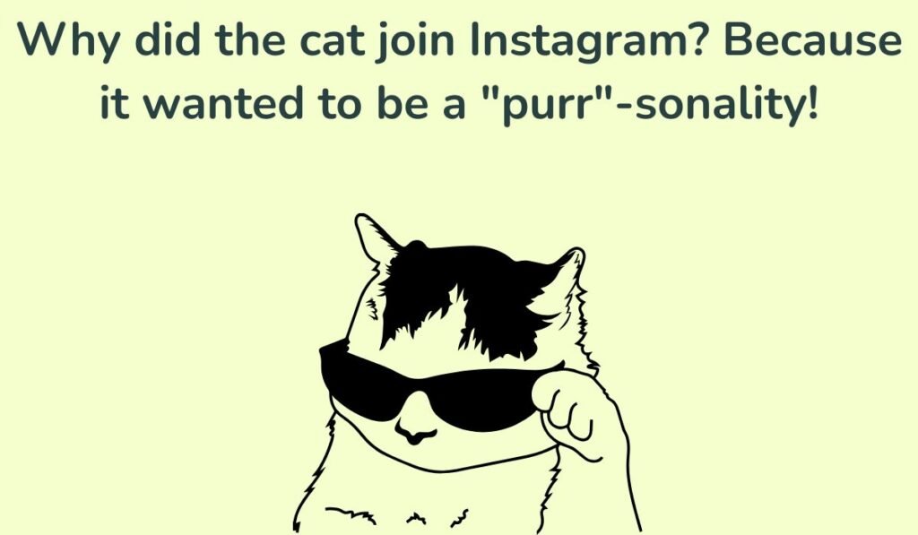 cat puns and jokes