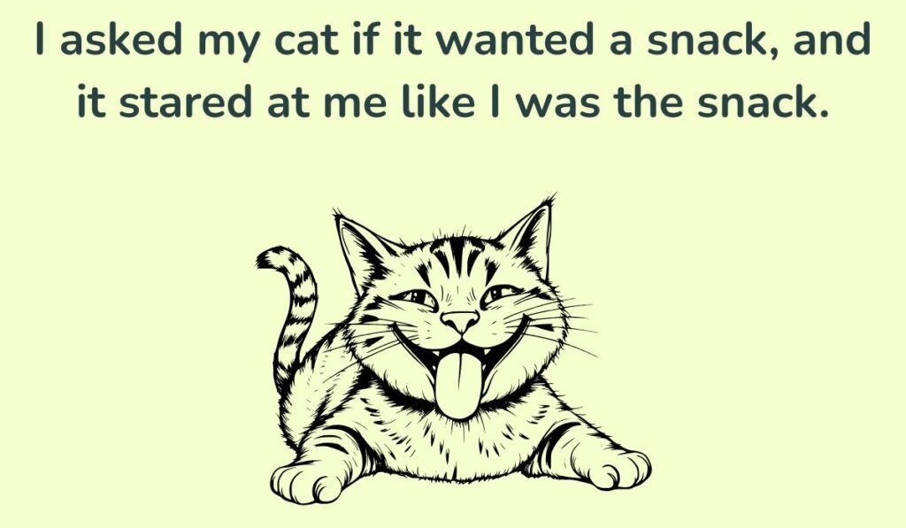 cat puns and jokes