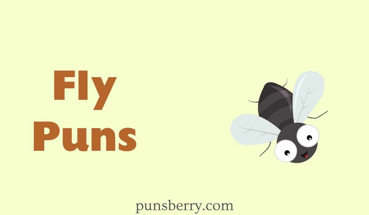 fly puns