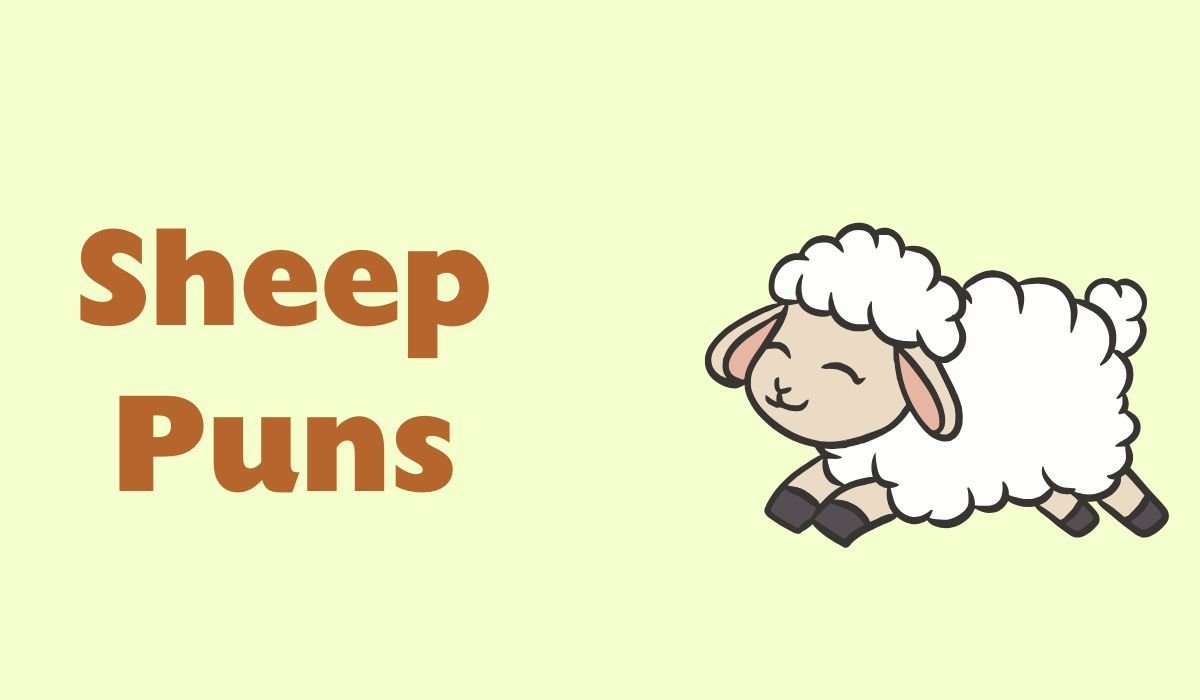 funny sheep puns