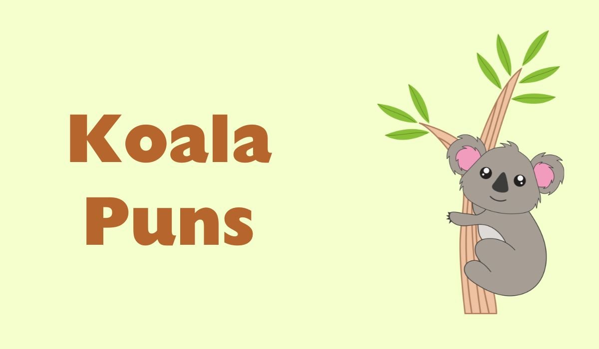funny koala puns