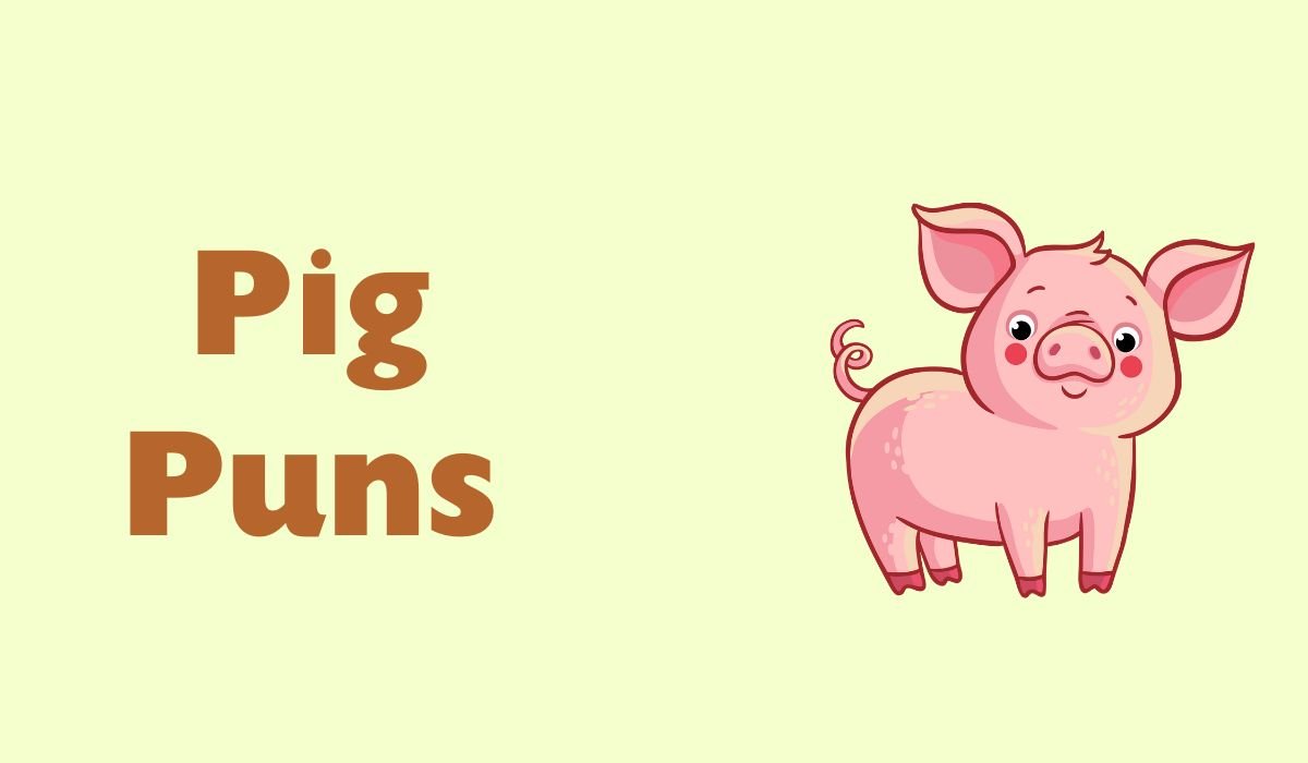 funny pig puns