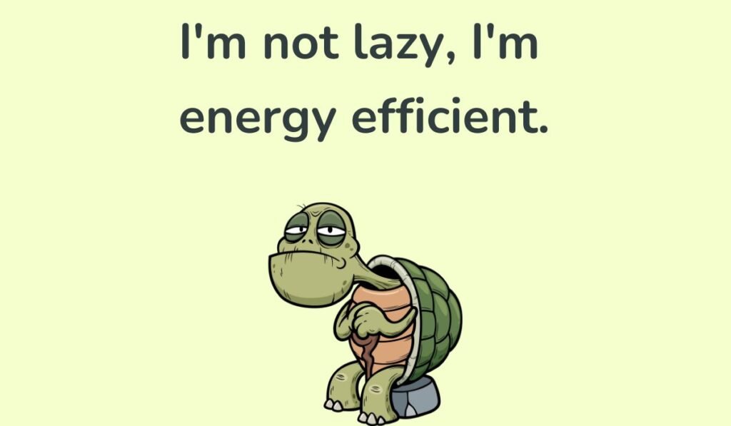 turtle puns