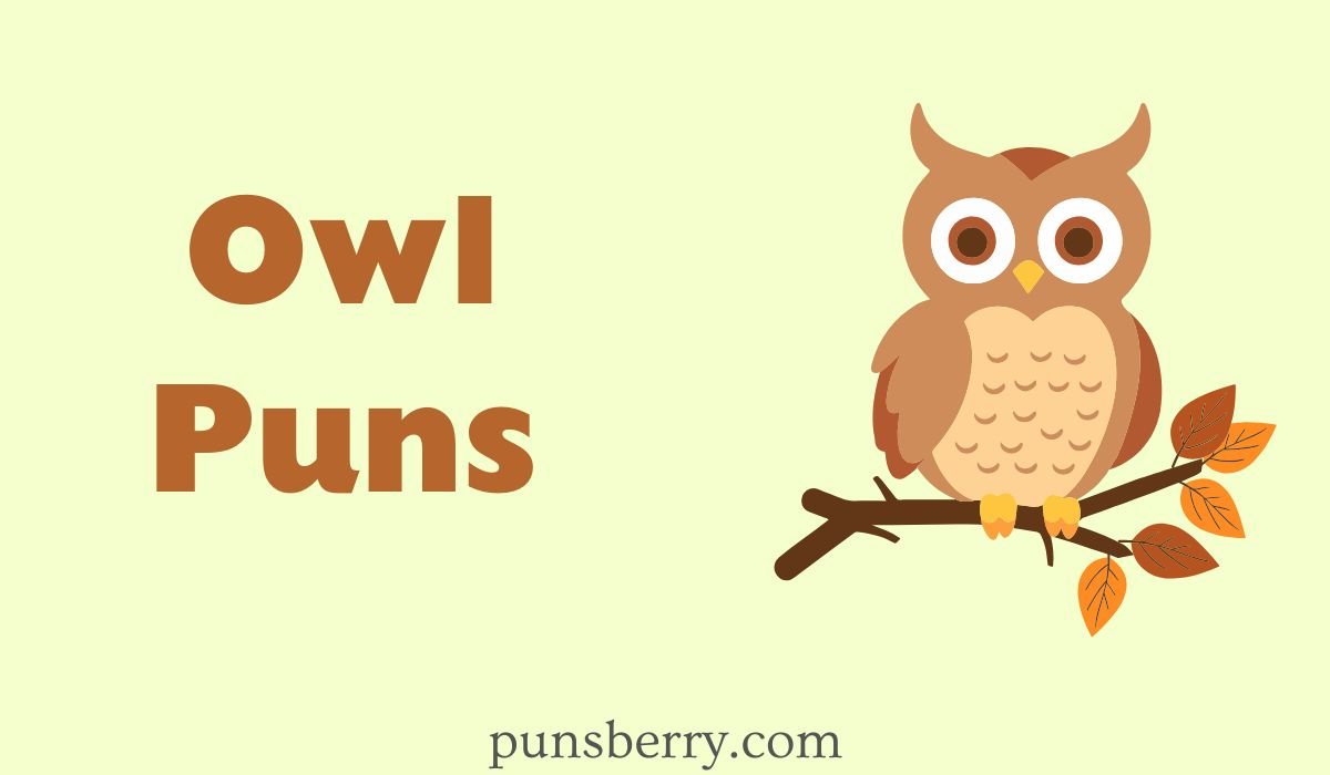 owl puns