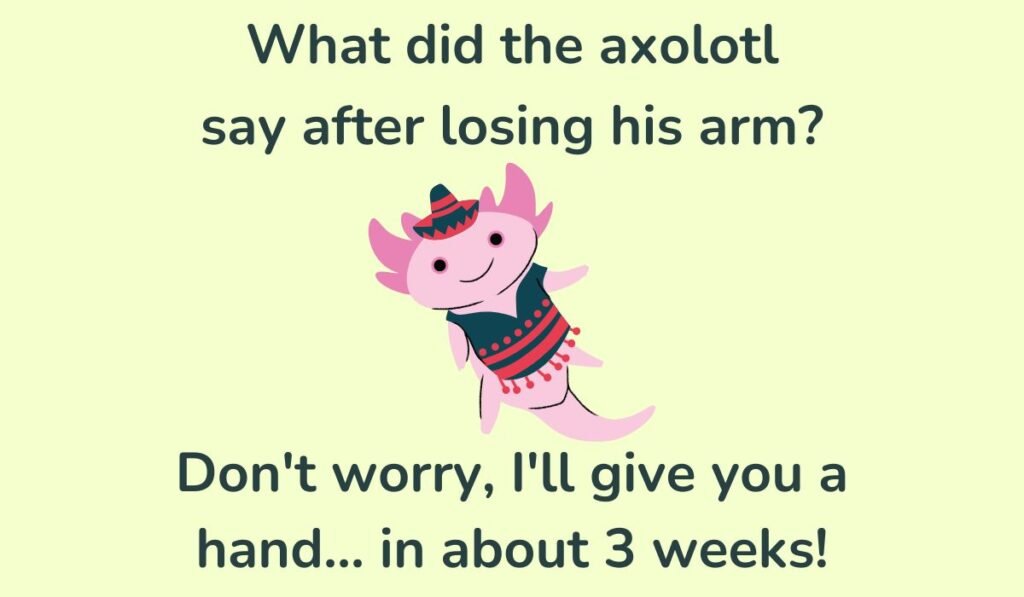 axolotl puns