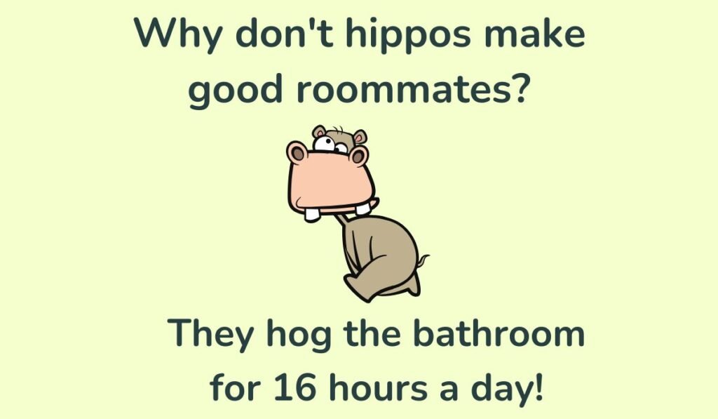 hippo puns