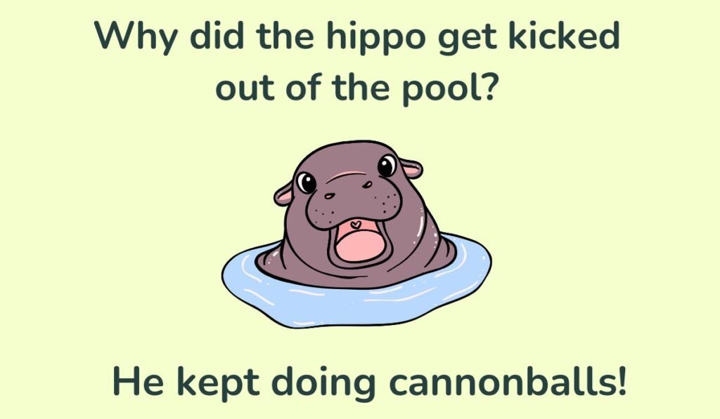 hippo puns