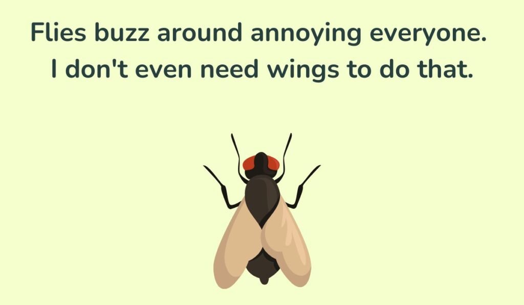 fly puns