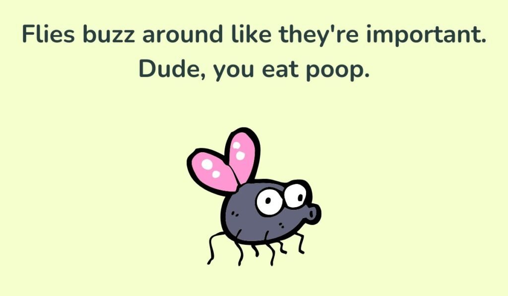 fly puns