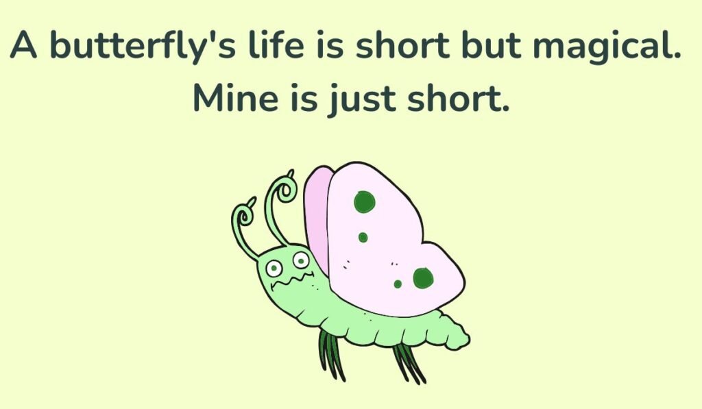 butterfly puns