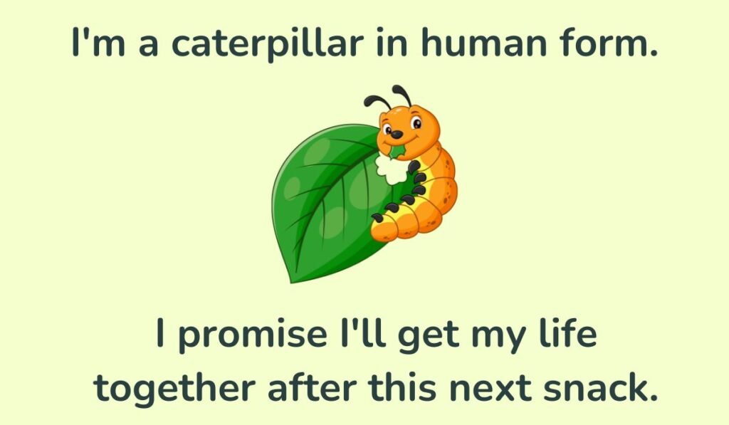 caterpillar puns