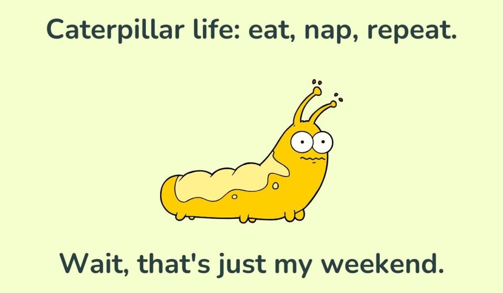 caterpillar puns