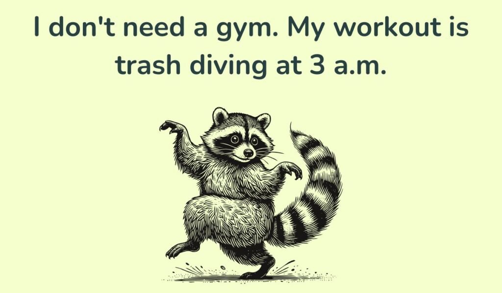 raccoon puns