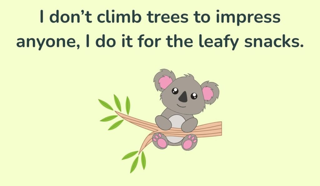 funny koala puns