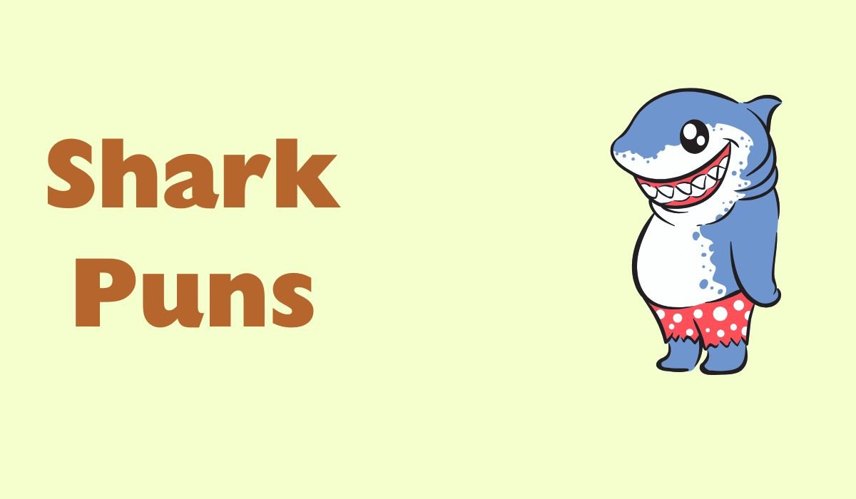 shark puns and jokes