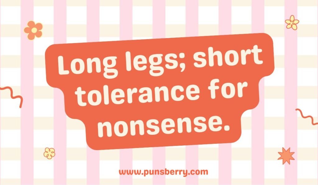 Funny flamingo pun about long legs and short tolerance for nonsense, perfect for flamingo humor posts.