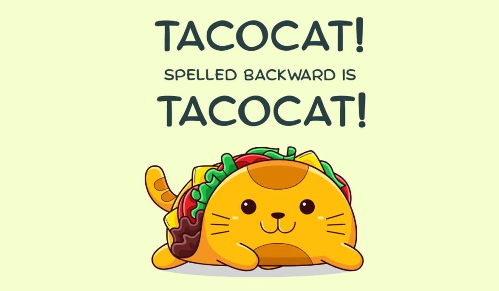 taco puns and jokes