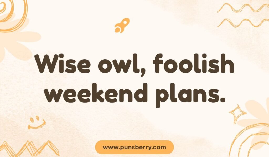 Wise owl foolish weekend plans pun picture