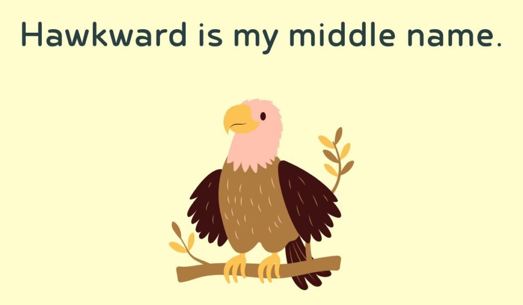 hawk puns and jokes