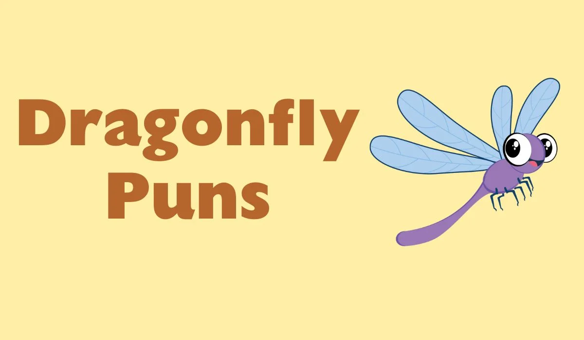 dragonfly puns and jokes