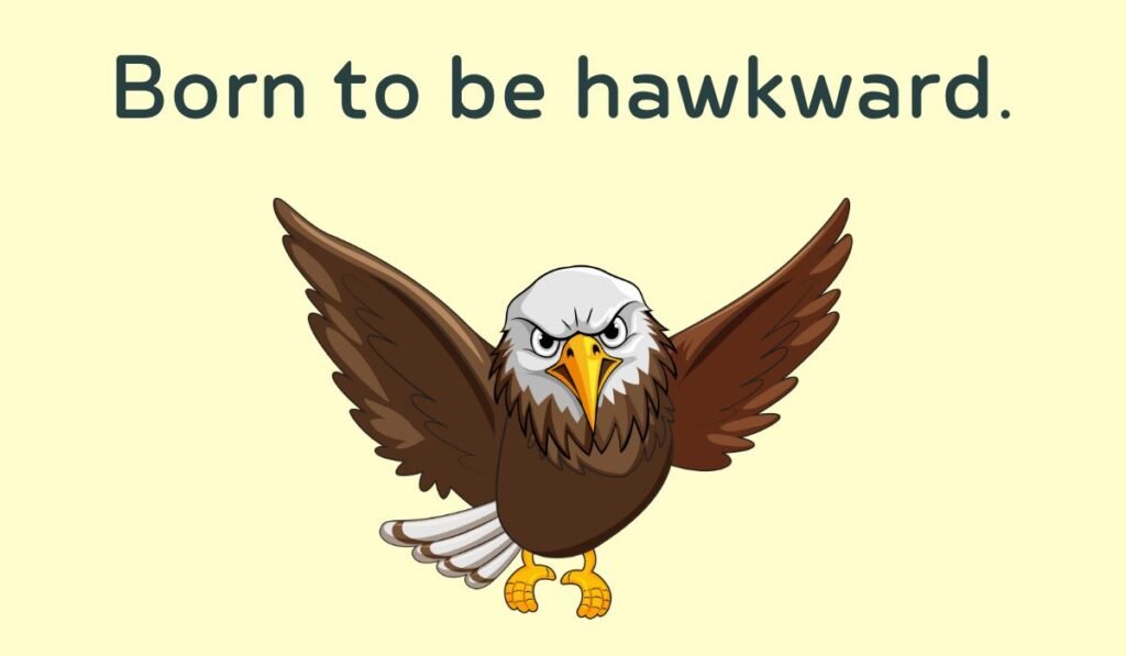 hawk puns and jokes