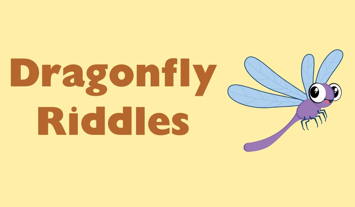 dragonfly riddles