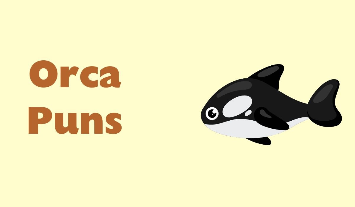 orac puns and jokes