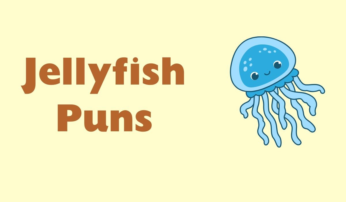 jellyfish puns and jokes