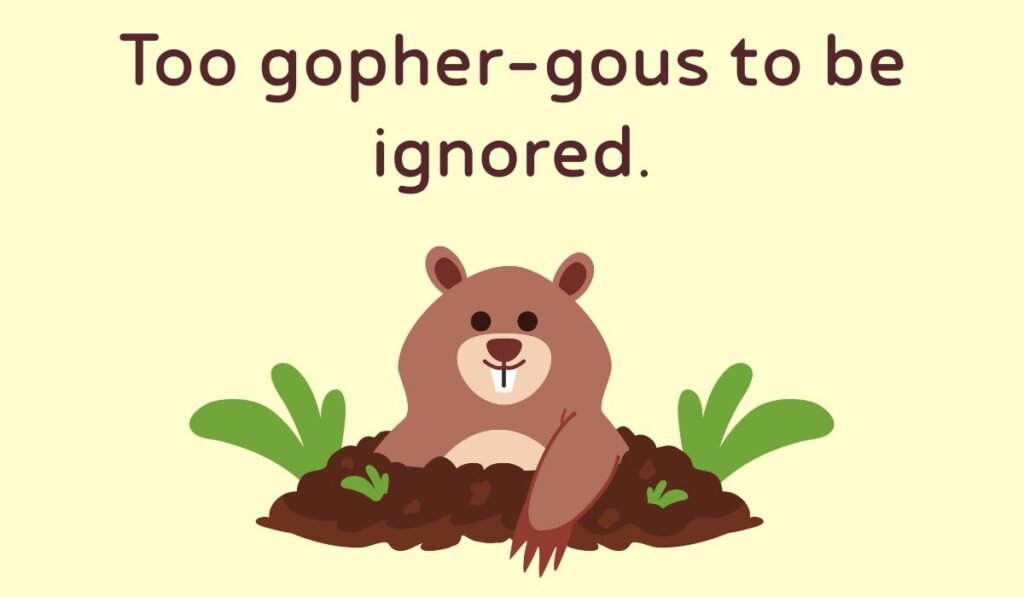 gopher puns and jokes