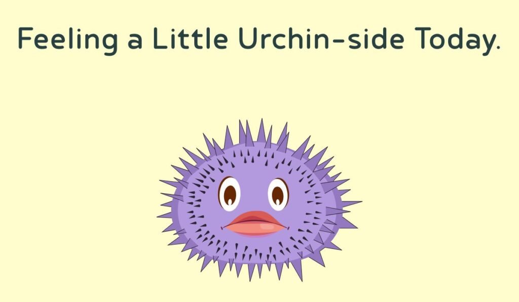 sea urchin puns