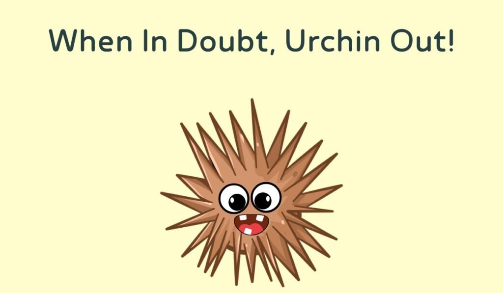 sea urchin puns