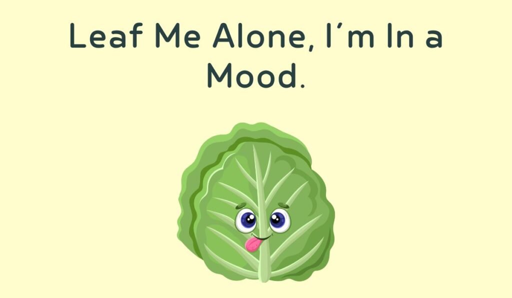 lettuce puns and jokes