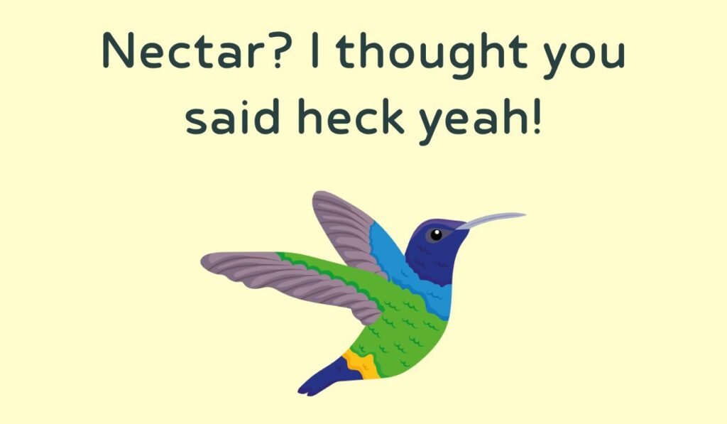 humming bird puns and jokes