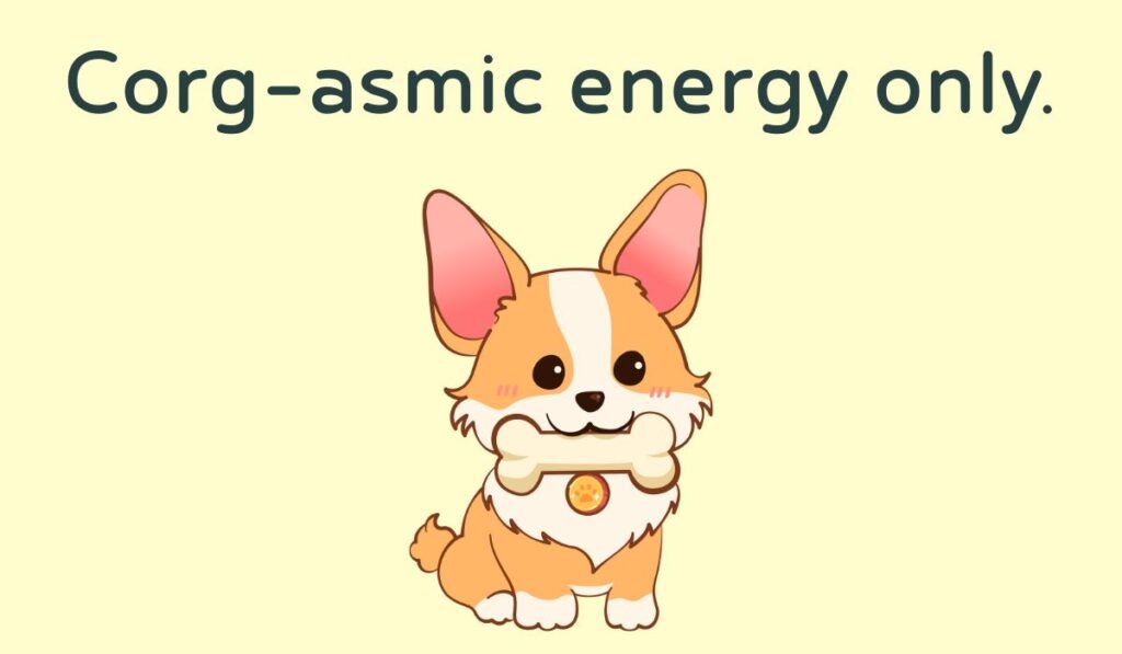 corgi puns and jokes